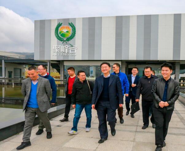 集团党委书记、董事长任丁率队调研聚峰谷